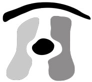 dr.med.matic-dr.med.o.kunkel